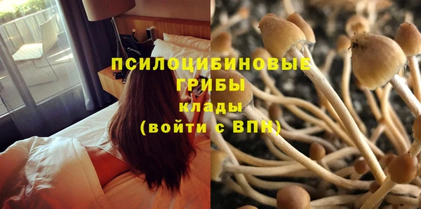 спайс Зерноград