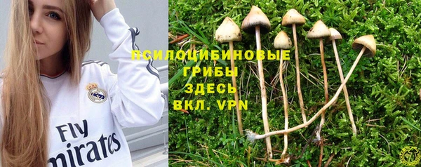 jwh Зеленодольск