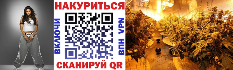 Купить где  Нижний Новгород  Конопля OG Kush 